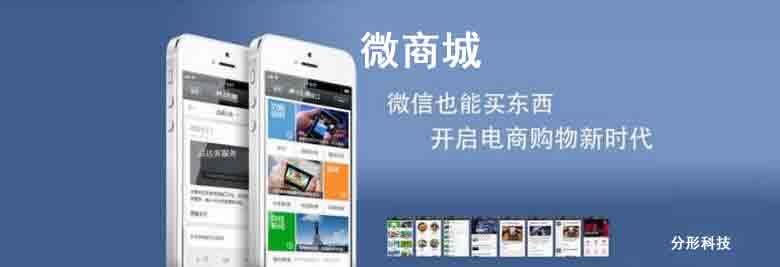 破解微商城網(wǎng)站開(kāi)發(fā)的步驟