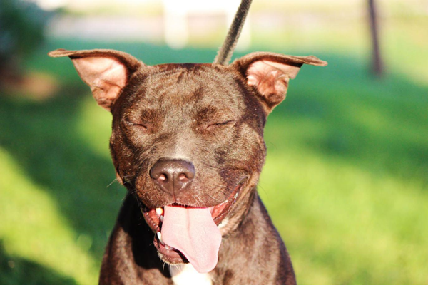 來自社交媒體的圖片如何幫你在網(wǎng)絡(luò)上脫穎而出