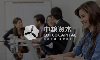 中糧資本